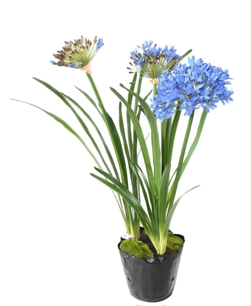 Konstgjord Blå Agapanthus 90Cm Inomhusväxt