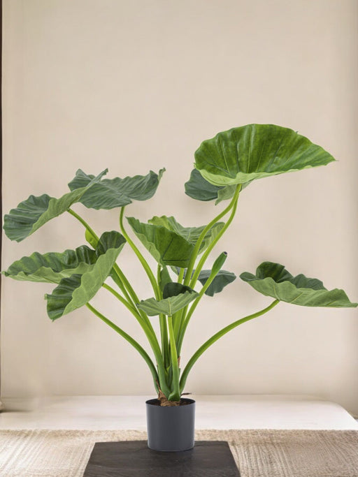 Alocasia Calioora - Konstgjord Grön Växt