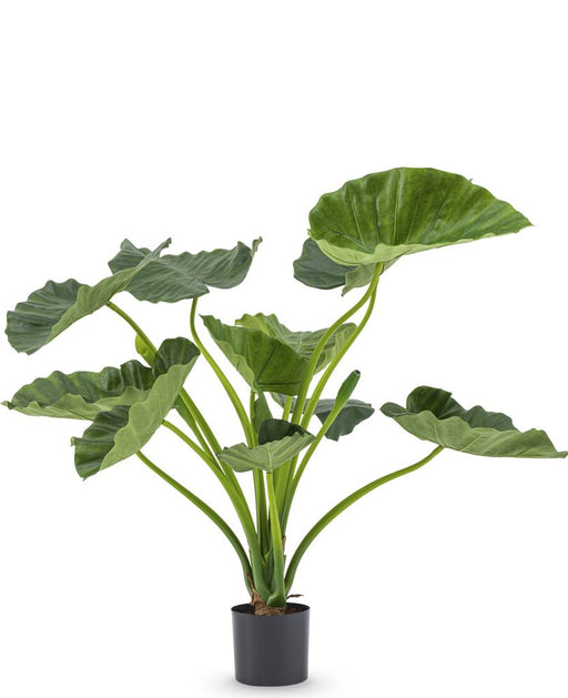 Alocasia Calioora - Konstgjord Grön Växt