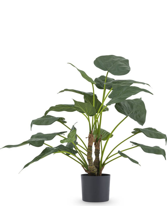 Alocasia Cucullata - Konstgjord Grön Växt