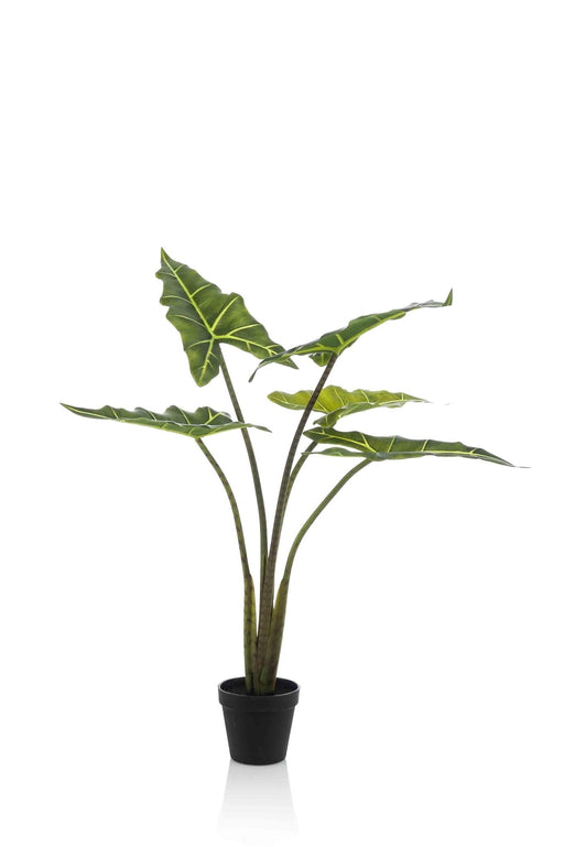 Alocasia Artificiell