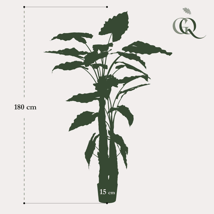 Alocasia Konstgjorda Växt - H180Cm, Ø15Cm