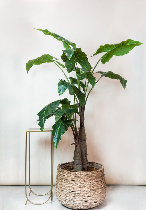 Alocasia Konstgjorda Växt - H180Cm, Ø15Cm