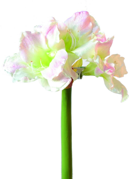 Konstgjord Amaryllis 3 Blommor Vita 70Cm