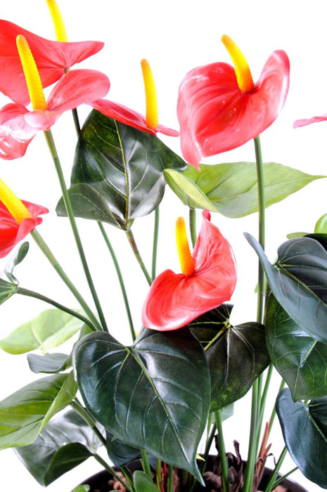 Konstgjord Anthurium I Röd Kruka Inredning 50Cm