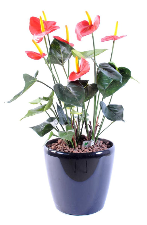 Konstgjord Anthurium I Röd Kruka Inredning 50Cm