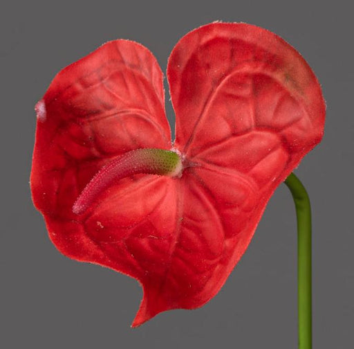 Konstgjord Anthurium Röd Stam 66 Cm Blomdekoration