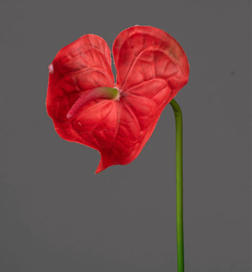 Konstgjord Anthurium Röd Stam 66 Cm Blomdekoration