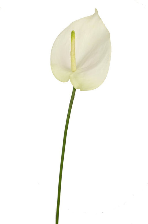 Vit Konstgjord Anthurium