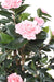 Konstgjord Camellia Japonica Träd 12 Blommor 160 Cm