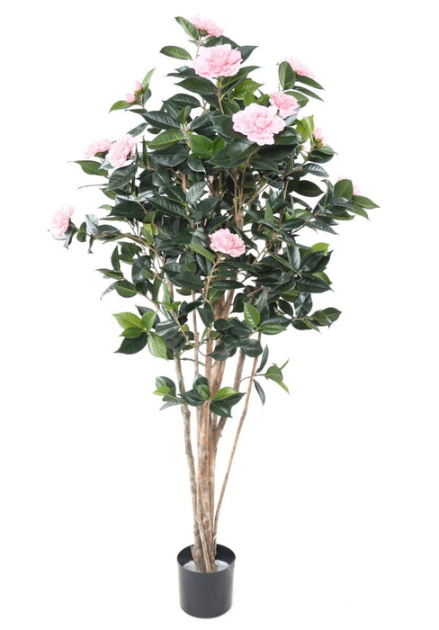 Konstgjord Camellia Japonica Träd 12 Blommor 160 Cm