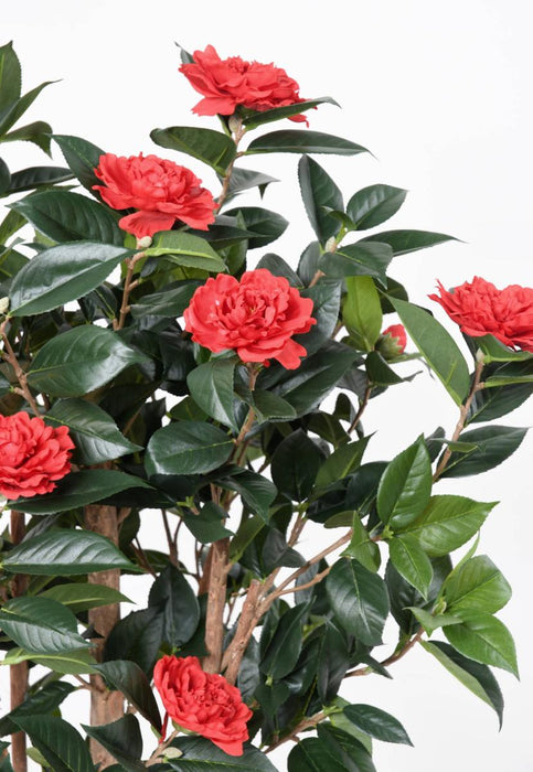 Konstgjord Camellia Japonica Träd 130 Cm Röd