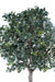 Konstgjord Camellia Japonica Tree 300Cm Inredning