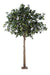 Konstgjord Camellia Japonica Tree 300Cm Inredning