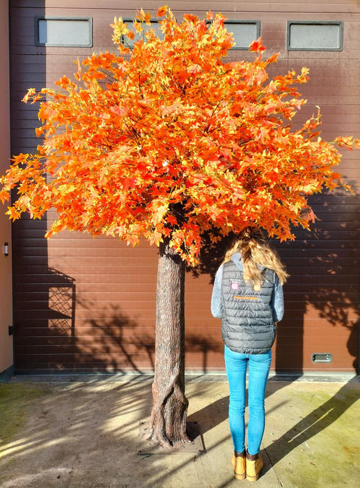 Konstgjord Apelsinträd Aralia Lönn 300 Cm