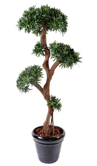 Artificiellt Podocarpus-Träd 5 Huvuden 165 Cm