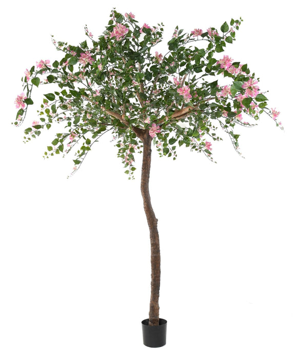 Konstgjord Bougainvillea Träd 280 Cm Inomhus Rosa