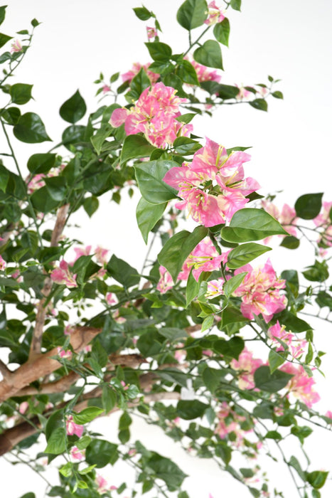 Konstgjord Bougainvillea Träd 280 Cm Inomhus Rosa