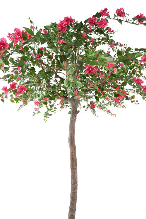 Konstgjord Bougainvillea Tree Fuchsia 280Cm