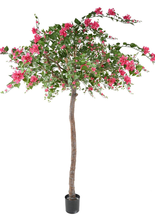 Konstgjord Bougainvillea Tree Fuchsia 280Cm