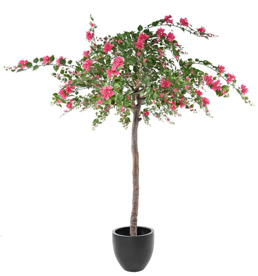 Konstgjord Bougainvillea Tree Fuchsia 280Cm