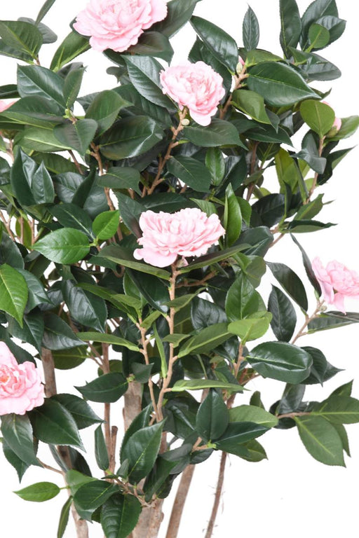 Konstgjord Kameliaträd 130 Cm Rosa Blommor Inomhus