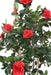 Konstgjord Camellia Träd Röd 160 Cm 12 Blommor