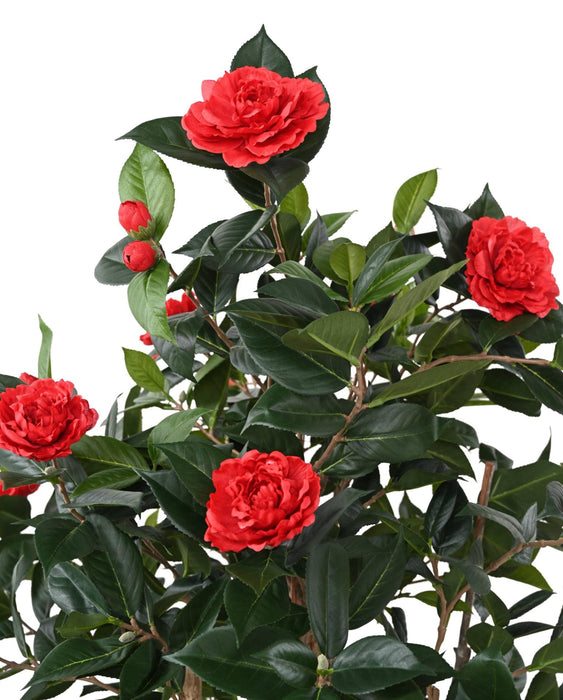 Konstgjord Camellia Träd Röd 160 Cm 12 Blommor