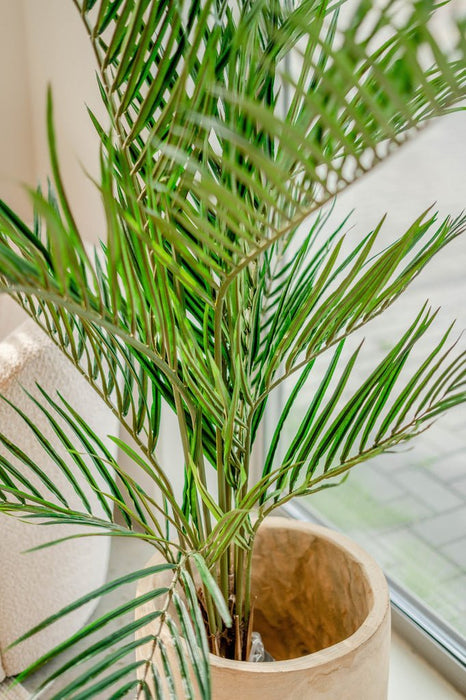 Areca - Konstgjord Palm