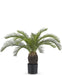 Baby Cycas - Konstgjord Handflata