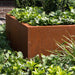 Corten Stål Fyrkantig Bricka För Trädgårdsterrass 80X60 Cm