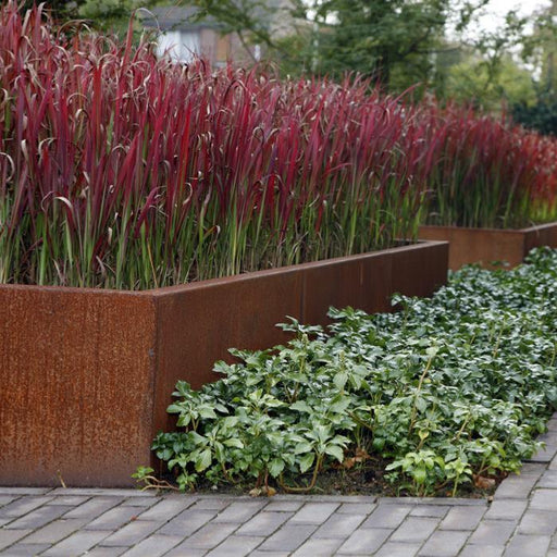 Corten Stål Trädgårdsbricka 120X40Cm För Blommor