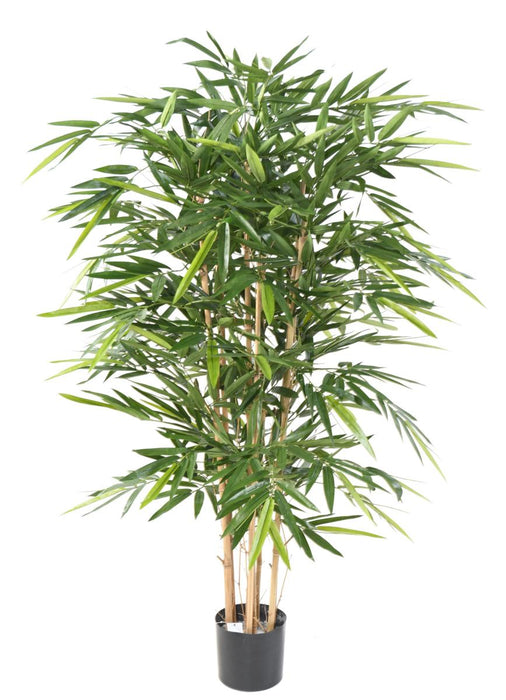 Artificiell Bambu 7 Naturliga Käppar Inomhus 160Cm