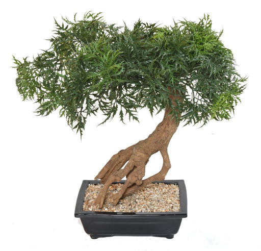 Konstgjord Aralia Bonsai I Sektion För Inomhus 60Cm