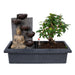 Cascading Bonsai (Budha)