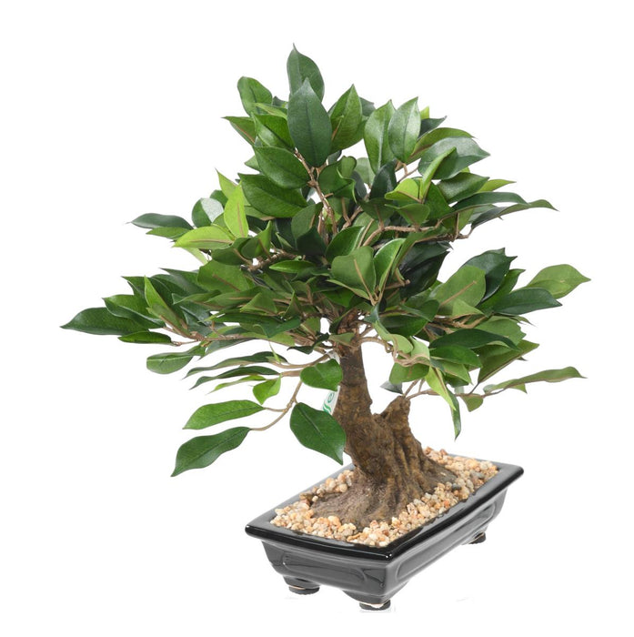 Konstgjord Ficus Bonsai 38 Cm För Inomhus