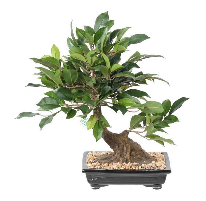 Konstgjord Ficus Bonsai 38 Cm För Inomhus