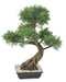 Konstgjord Bonsai Juniperus 100 Cm Inomhusväxt