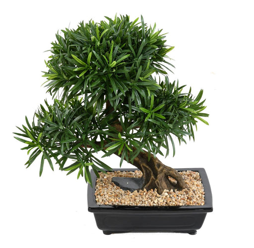 Artificiell Podocarpus Bonsai 50 Cm Cut