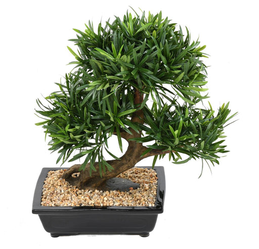 Artificiell Podocarpus Bonsai 50 Cm Cut