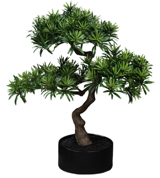 Artificiell Podocarpus Bonsai 50 Cm För Inomhusbruk