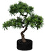 Artificiell Podocarpus Bonsai 50 Cm För Inomhusbruk