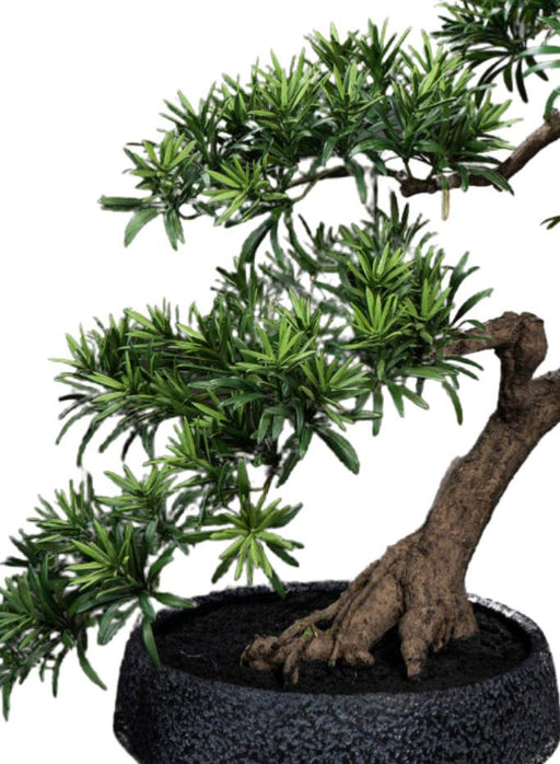 Artificiell Podocarpus Bonsai 70 Cm För Inomhus