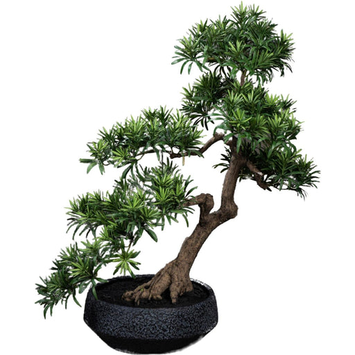 Artificiell Podocarpus Bonsai 70 Cm För Inomhus