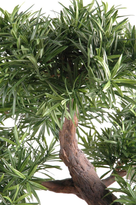 Artificiell Podocarpus Bonsai 78 Cm För Inomhus