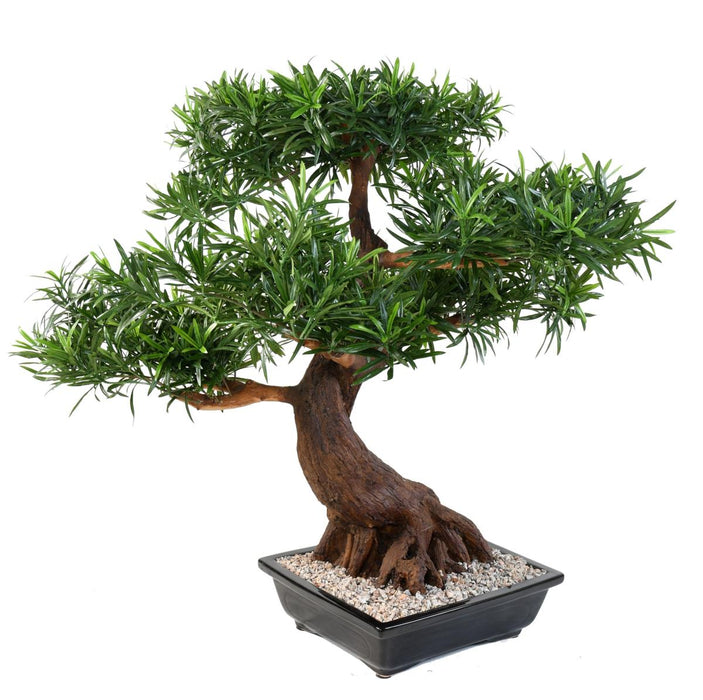 Artificiell Podocarpus Bonsai 78 Cm För Inomhus