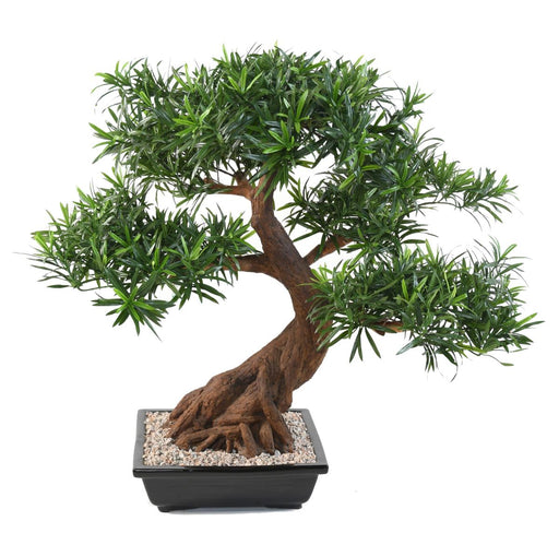 Artificiell Podocarpus Bonsai 78 Cm För Inomhus