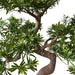 Gran Bonsai - Konstgjord Bonsai