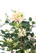 Konstgjord Bougainvillea 150 Cm Vita Rosa Blommor