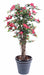 Konstgjord Bougainvillea 150 Cm Fuchsia Inomhusväxt